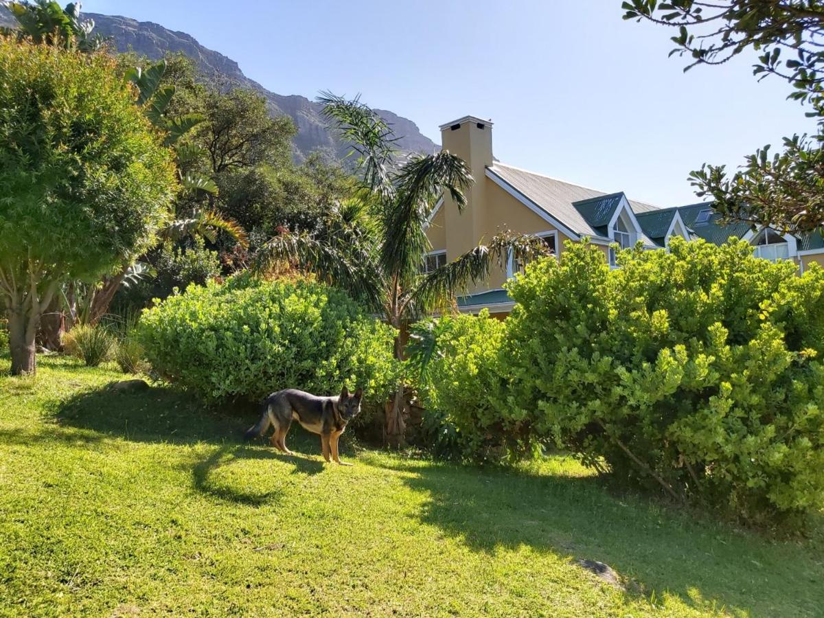 Villa La Paz Hout Bay Exterior photo